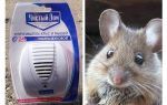 Ultraschall-Repeller von Ratten und Mäusen Sauberes Haus