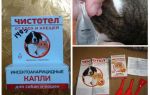 Tropfen Schöllkraut von Flöhen für Katzen und Hunde