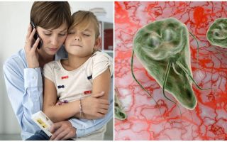 Giardiasis bei Kindern: Symptome und Behandlung