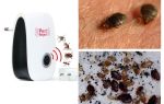Was haben Angst vor heimischen Bugs, Volksmedizin