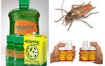 Wie und was Kakerlaken zu Hause vergiften