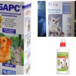 Flohshampoos für Katzen und Hunde