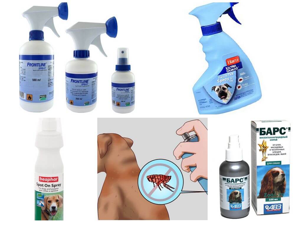 Flohsprays für Hunde