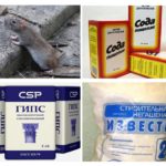 Volksmethoden von Ratten