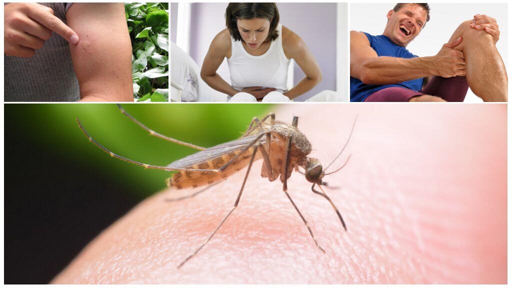Folgen des Malaria-Mückenstichs